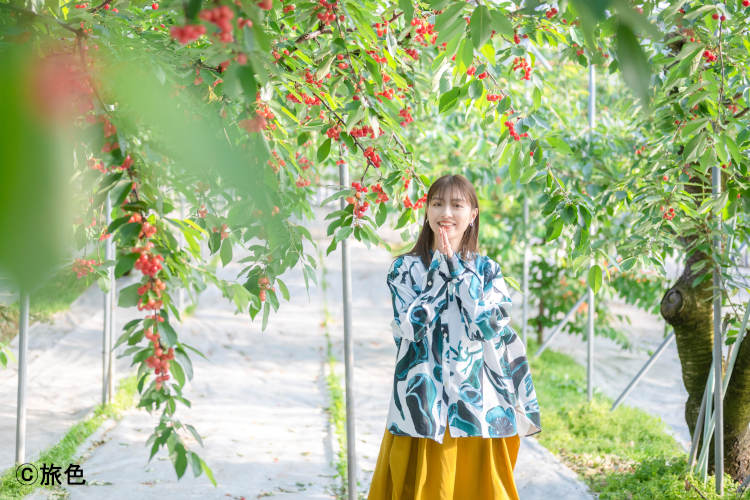 特集「かわいくてなつかしい 山形に誘われて」
