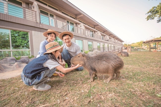今のイチオシはカピパラとの触れ合い。さまざまな体験コースが選べます。