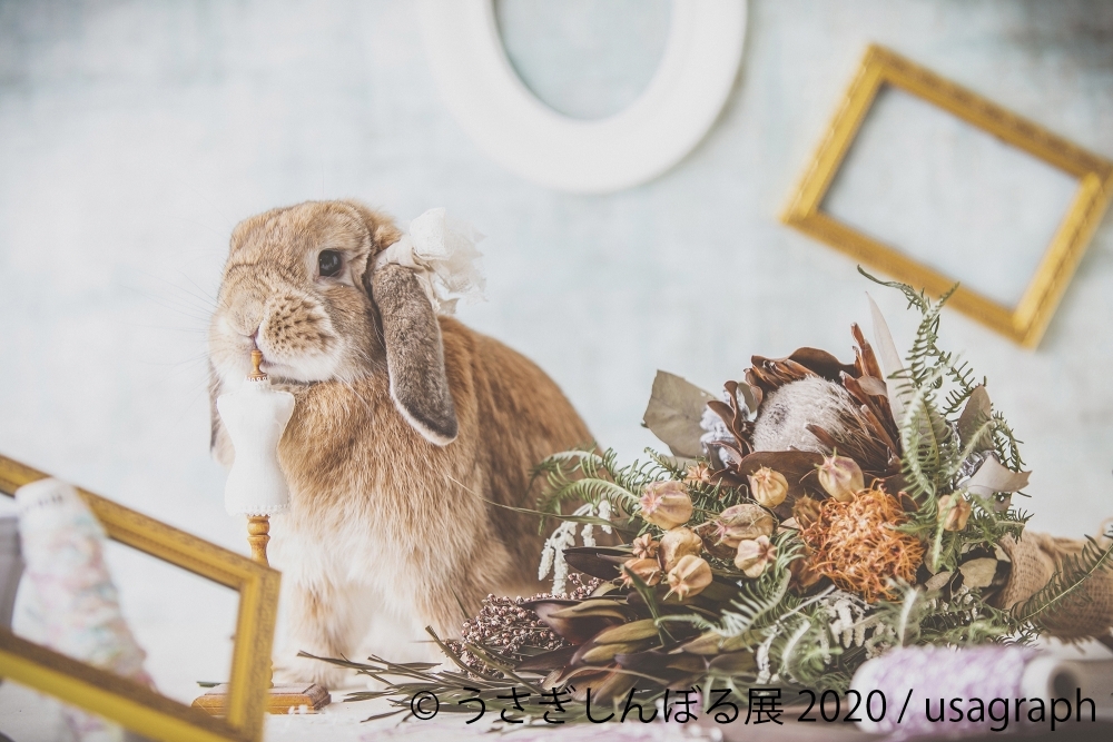 自粛疲れに癒しをくれる「うさぎしんぼる展 2020」開催！