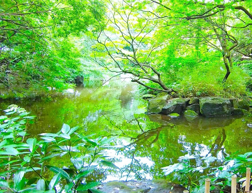 東京で随一の避暑地！マイナスイオンたっぷりの「名主の滝公園」とは