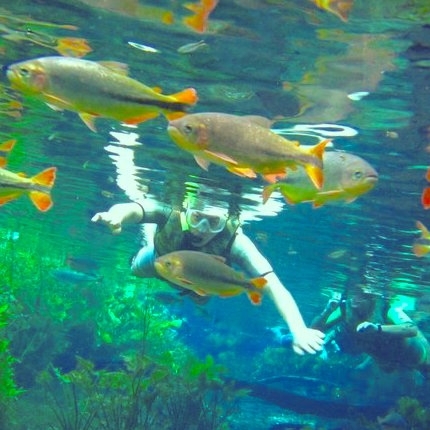 天然の魚やサメと泳げる！？驚きの世界の《絶景》水族館4スポット
