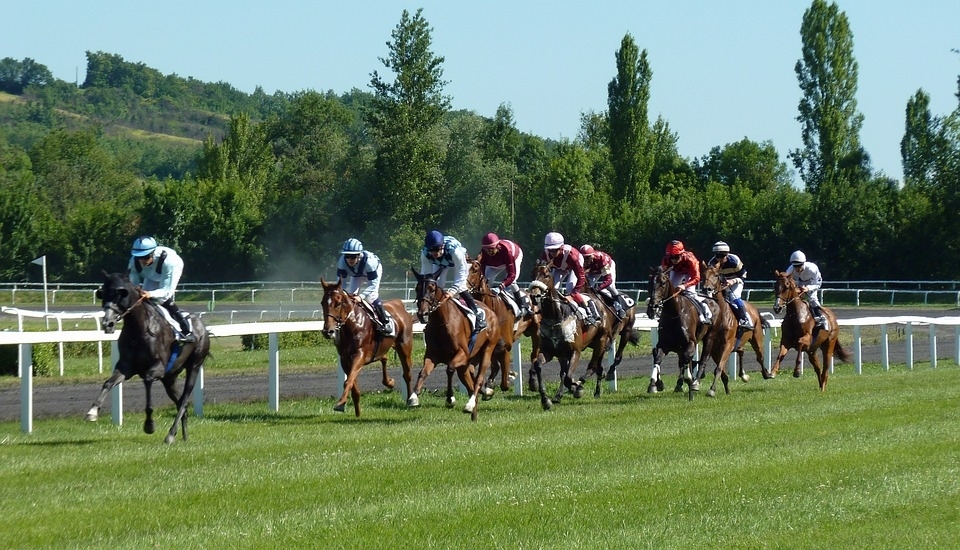 無料開放もある♡《デート穴場スポット》国内のおすすめ「競馬場」!