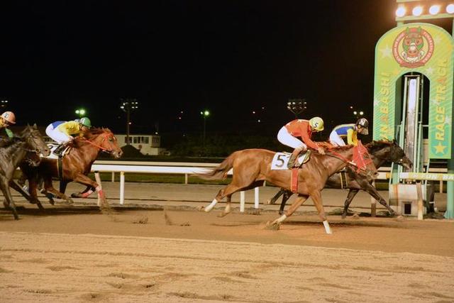 デートにもぴったり♡国内のおすすめ競馬場《10》船橋競馬場