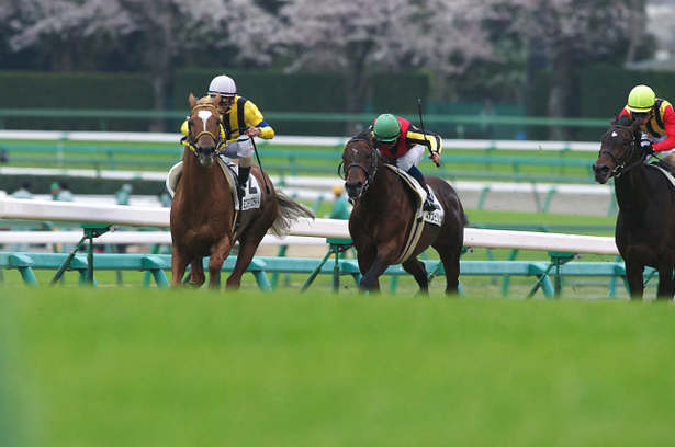 デートにもぴったり♡国内のおすすめ競馬場《2》中山競馬場