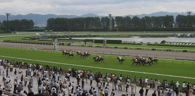 デートにもぴったり♡国内のおすすめ競馬場《3》京都競馬場