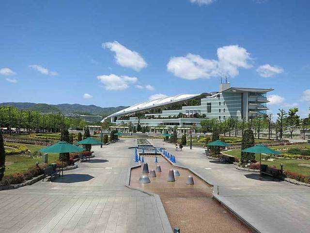 デートにもぴったり♡国内のおすすめ競馬場《4》阪神競馬場