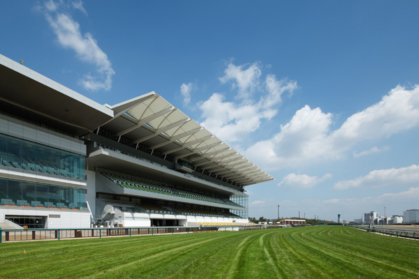 デートにもぴったり♡国内のおすすめ競馬場《5》中京競馬場