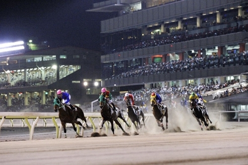 デートにもぴったり♡国内のおすすめ競馬場《7》大井競馬場