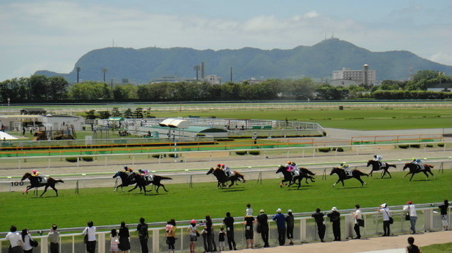 デートにもぴったり♡国内のおすすめ競馬場《9》函館競馬場