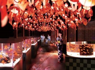 すみだ水族館のイベント「お江戸の金魚ワンダーランド」で夏を満喫！①1000匹の金魚