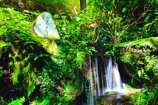 茶道家も認めた名水♪長野県「猿庫の泉」でリフレッシュの旅