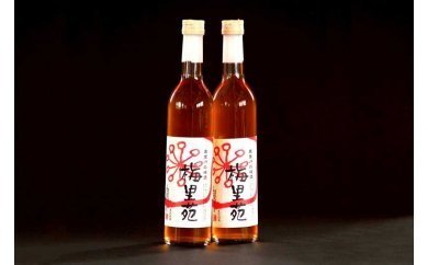 《5,000円》ふるさと納税「山形県」でおすすめの飲食物②山形県真室川町、真室川の梅酒「梅里苑」2本セット