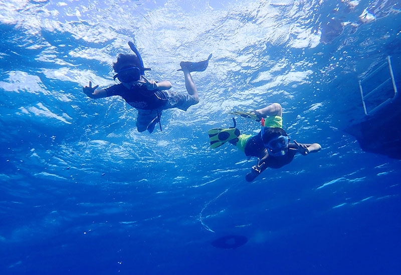 美しい沖縄の海を独り占め！　優雅なクルージングで特別なマリン体験を満喫