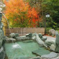 大自然が生み出す渓谷美を満喫！ “日本三大秘境”に数えられる徳島県・祖谷の宿「祖谷渓温泉 ホテル秘境の湯」