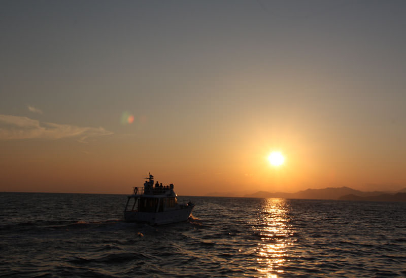 英虞湾クルージングで伊勢志摩の自然美を愉しむ