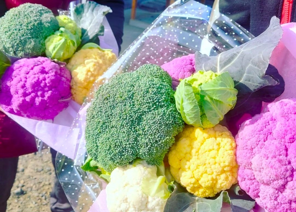 農家直送！　人にも環境にも優しい山口「アグリーフプラス～０」の新鮮野菜