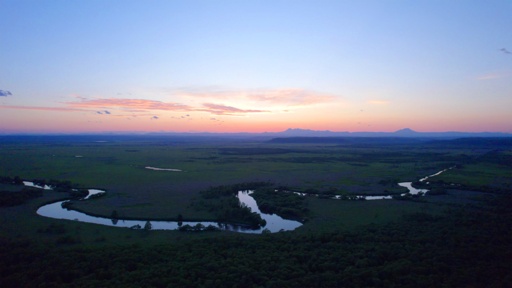 ここでしか観られないオリジナル作品