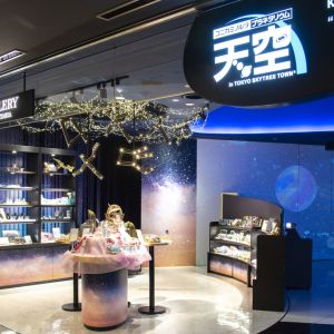 「コニカミノルタプラネタリウム天空 in 東京スカイツリータウン®」で満天の星々を仰ぐ癒やしのひとときその0