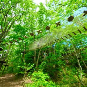 現地で楽しむ、北海道恵庭市の体験型返礼品5選