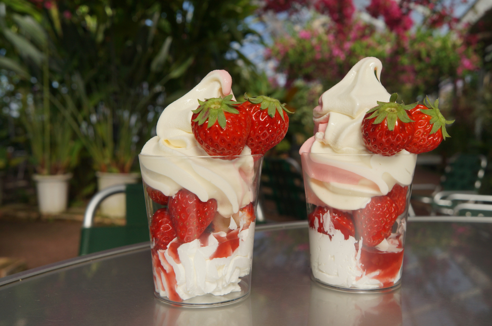 併設のカフェで堪能する旬のイチゴスイーツ