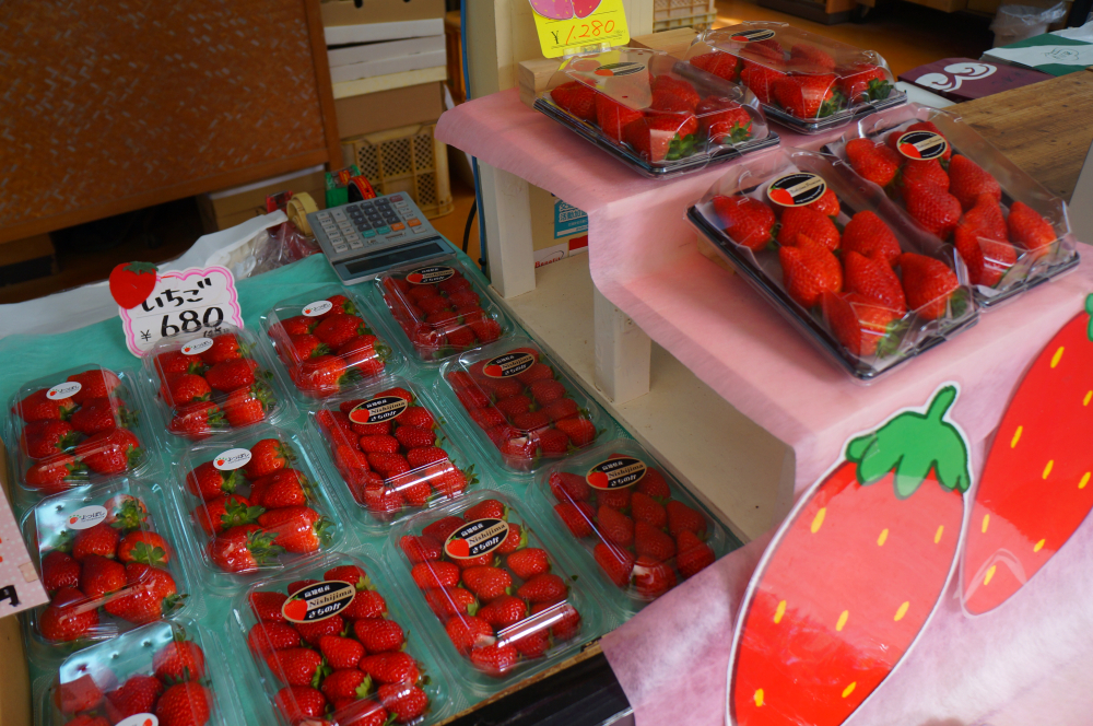 オリジナル商品と名産品が並ぶお土産コーナー