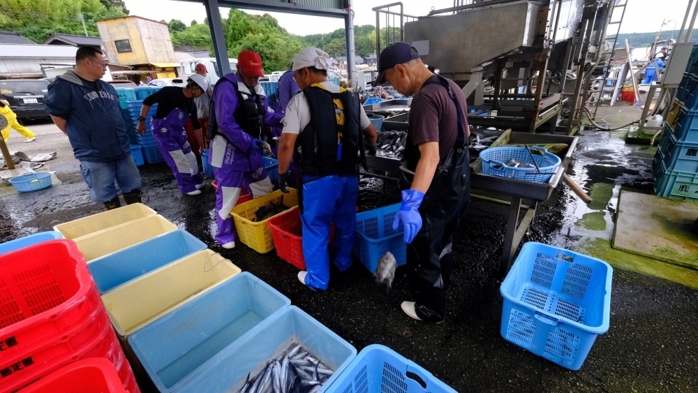 帰港、荷揚げ、そして漁師メシ
