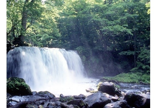 渓流 美しい水流に癒される 青森県・奥入瀬渓流の滝&渓流スポット | 旅色プラス