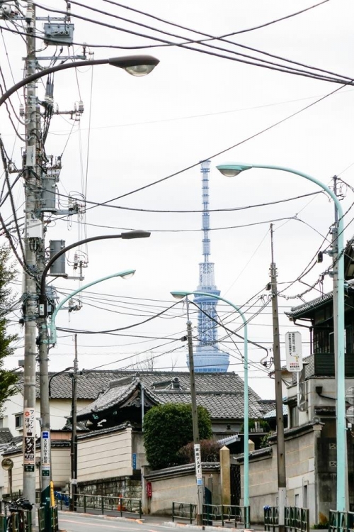 電線は数学の問題? 千駄木・三崎坂で見つけた“いい電線”