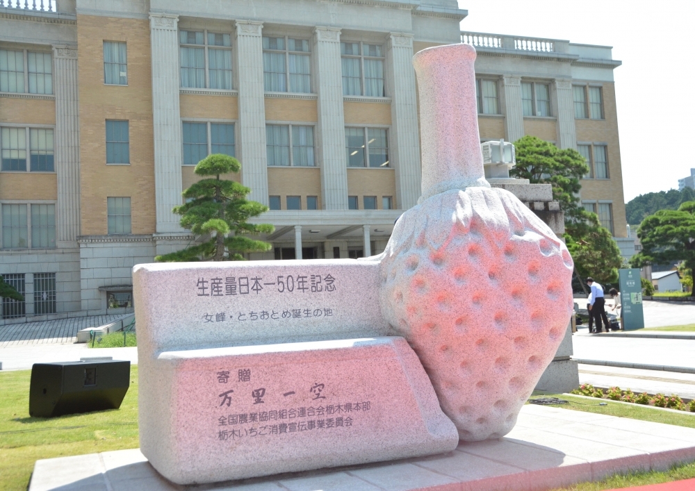 【5】いちご王国に新しいスポット誕生? 生産量はなんと52年連続日本一!