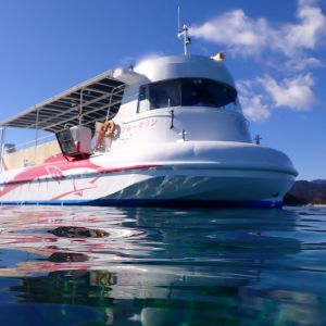 海中観光船でサンゴの楽園へ！徳島「マリンジャム」で海と遊ぶその0