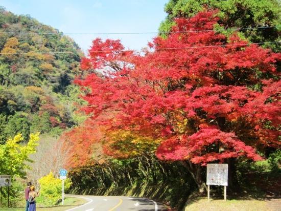 大分県の「深耶馬溪」の魅力④一目八景の遊歩道