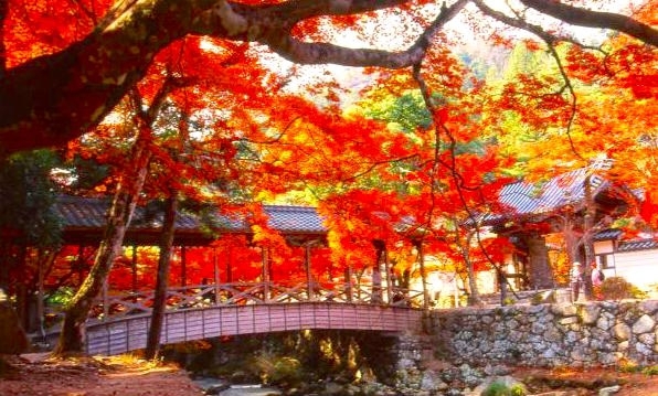 広島県の紅葉名所といえばココ！御朱印女子が夢中の「佛通寺」の見頃