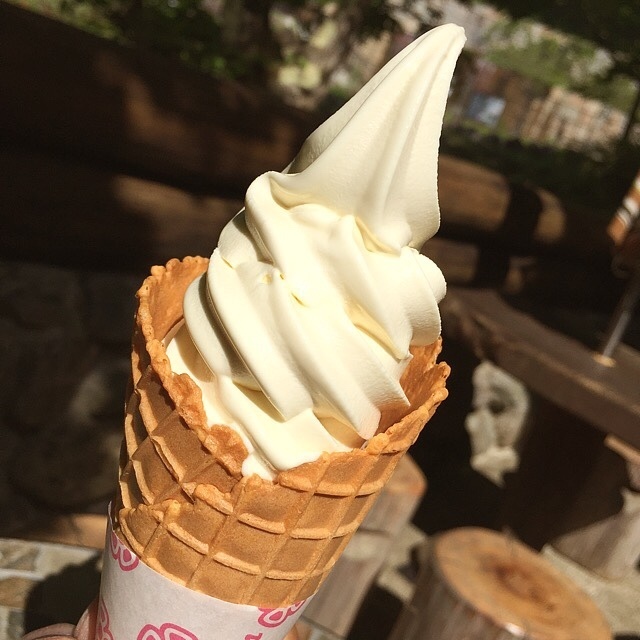 マイナスイオンを浴びよう♡新潟県にある「苗名滝」周辺のおすすめスイーツ
